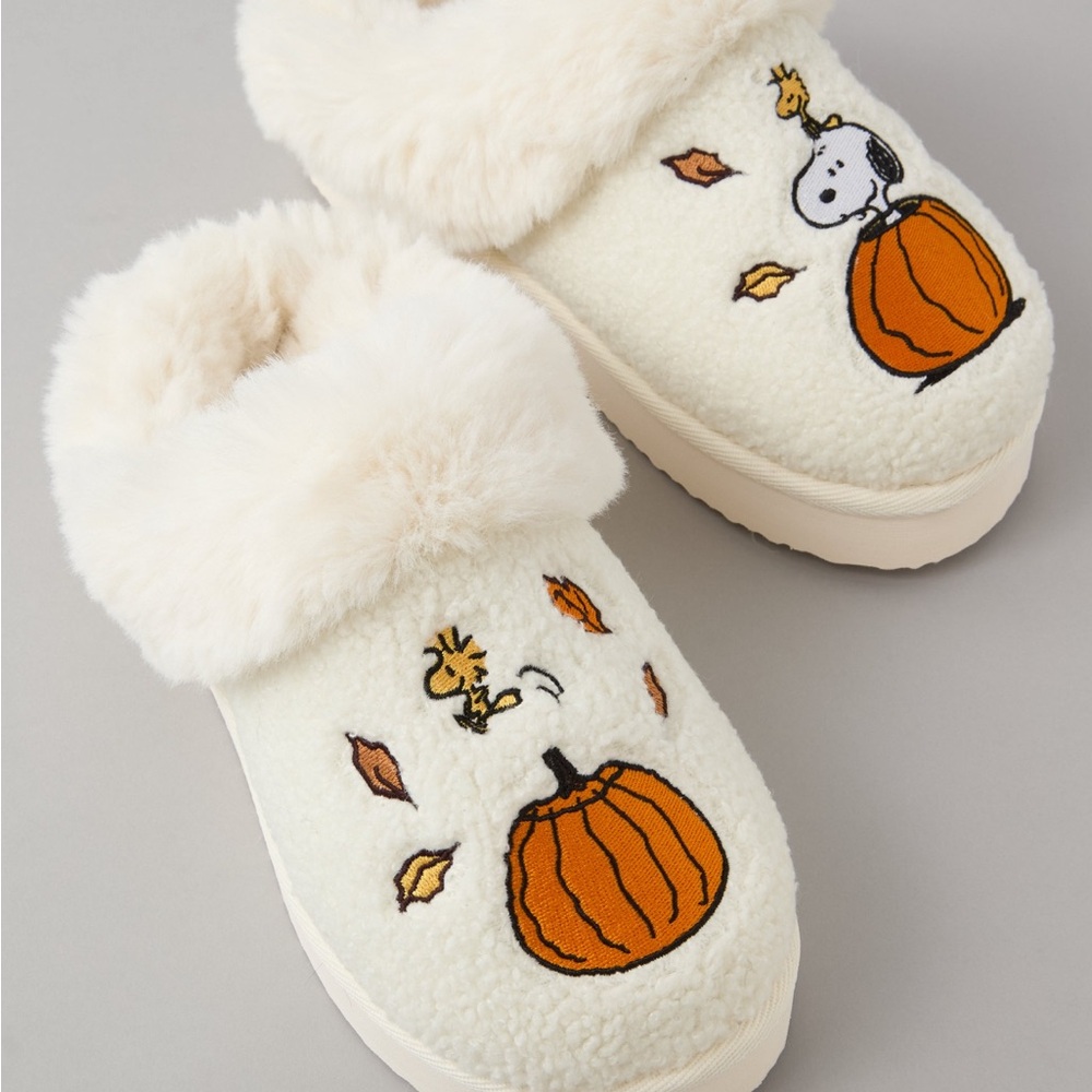 AE Peanuts Snoopy Fall Slippers